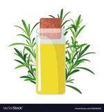 lime-essential-oil