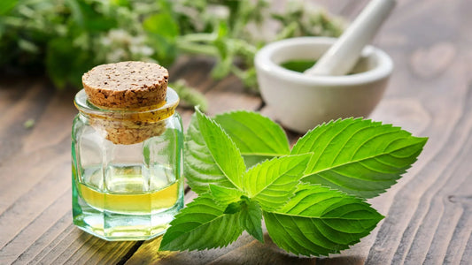 Peppermint-Oil-Uses-Benefits-and-Side-Effects-Featured-Image