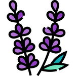 Lavender-Essential-Oil-Icon